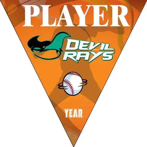 Devil Rays 1 Softball Banner-softball-birthday-banners-images