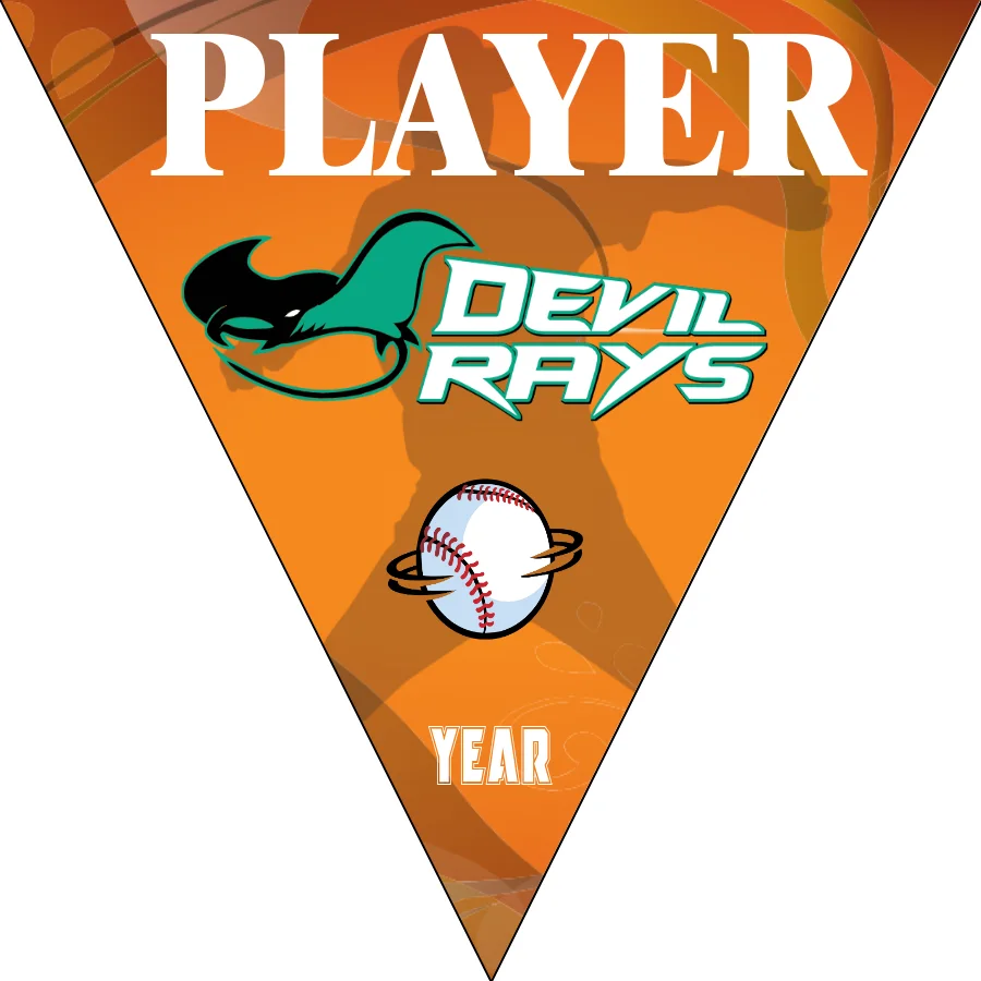 Devil Rays 1 Softball Banner-softball-birthday-banners-images