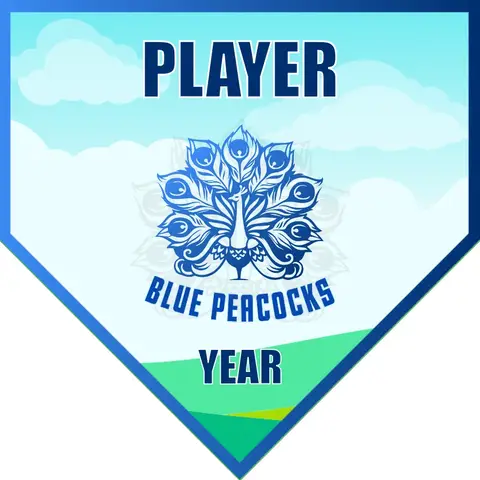 Blue Peacocks Soccer Banner-order-soccer-banner-picture