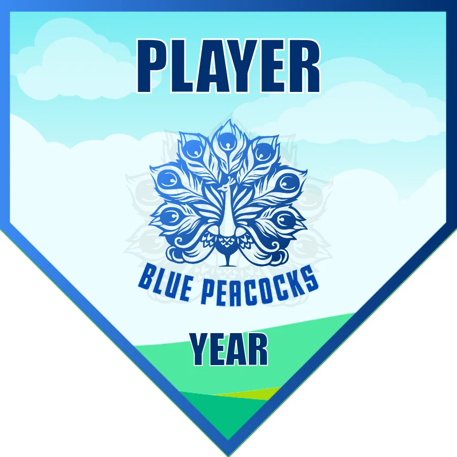 Blue Peacocks Soccer Banner-order-soccer-banner-picture