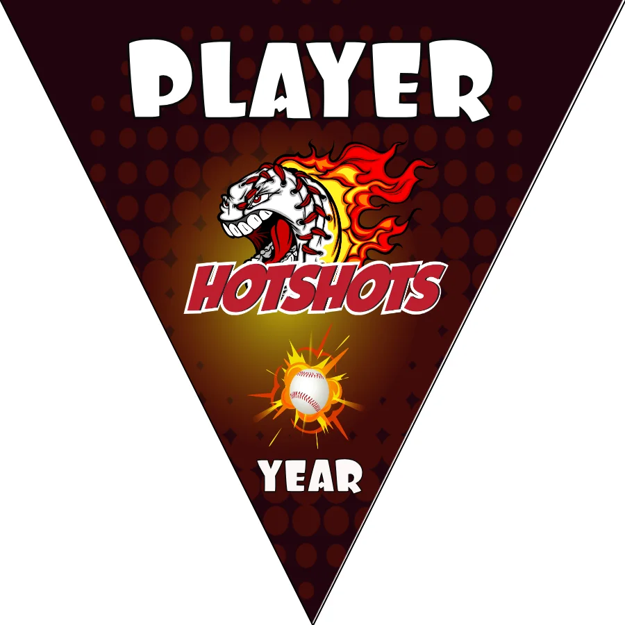 Hotshots Baseball Banner-free-baseball-birthday-banner-images