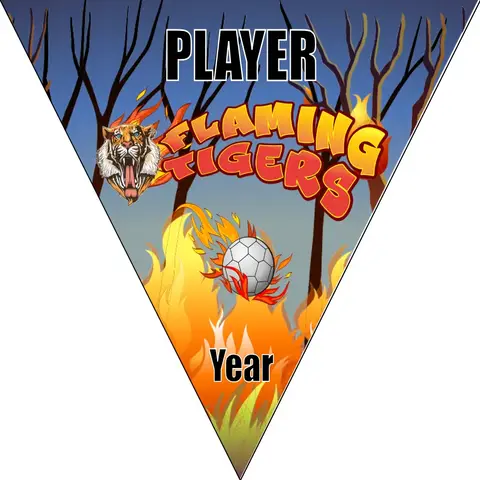 Tigers Flaming Soccer Banner-soccer-banners-picture
