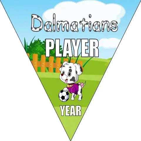 Dalmatians Soccer Banner-soccer-banner-size-picture