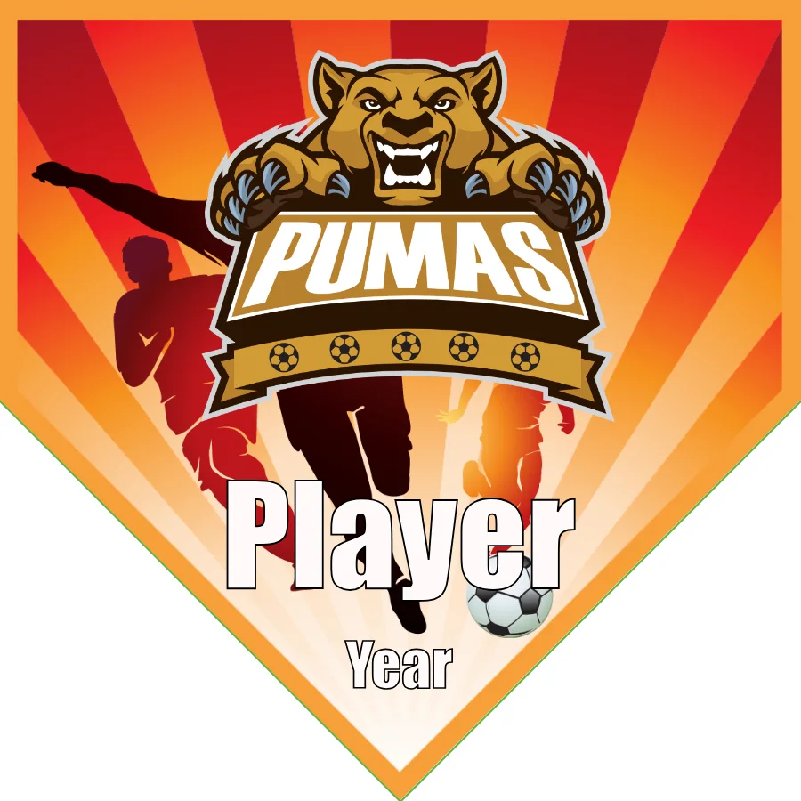 Pumas 1 Soccer Banner-soccer-team-banner-ideas-picture