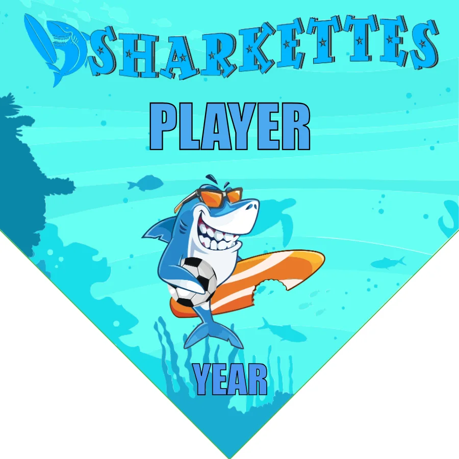 Sharkettes Soccer Banner-soccer-banners-and-flags-picture