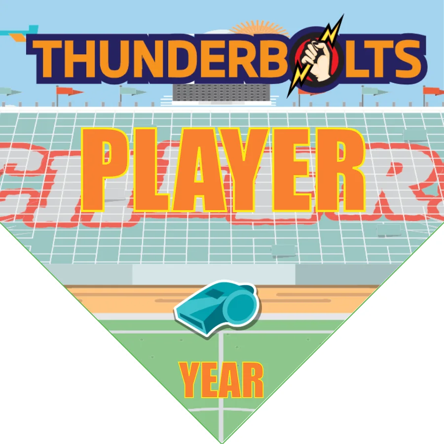 Thuderbolt Soccer Banner-soccer-banner-frame-picture