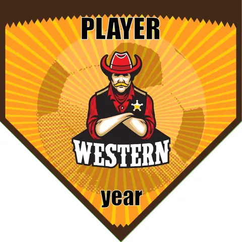 Western Soccer Banner-soccer-banners-for-sale-picture