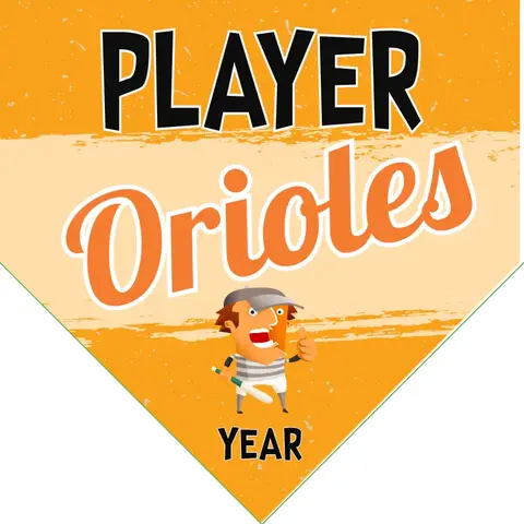 Orioles Baseball Banner-baseball-themed-birthday-banner-images