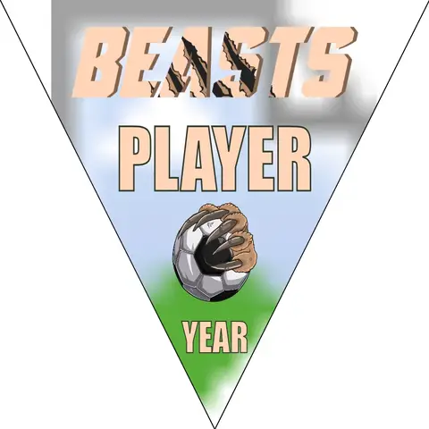 Beasts Soccer Banner-soccer-banner-pole-kit-picture