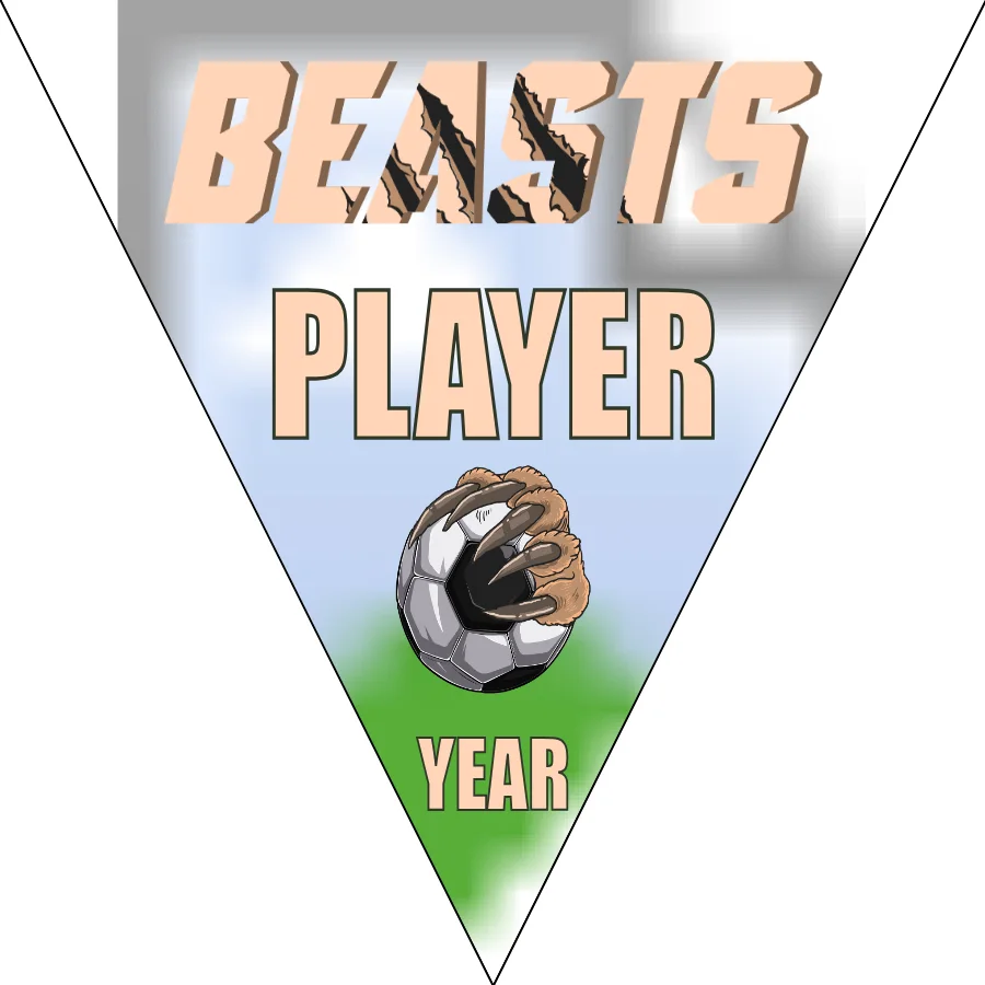 Beasts Soccer Banner-soccer-banner-pole-kit-picture