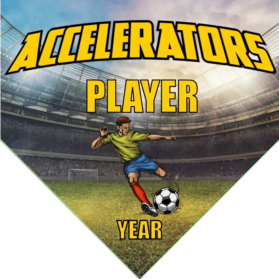 Accelerators 1 Soccer Banner-soccer-banners-and-flags-picture