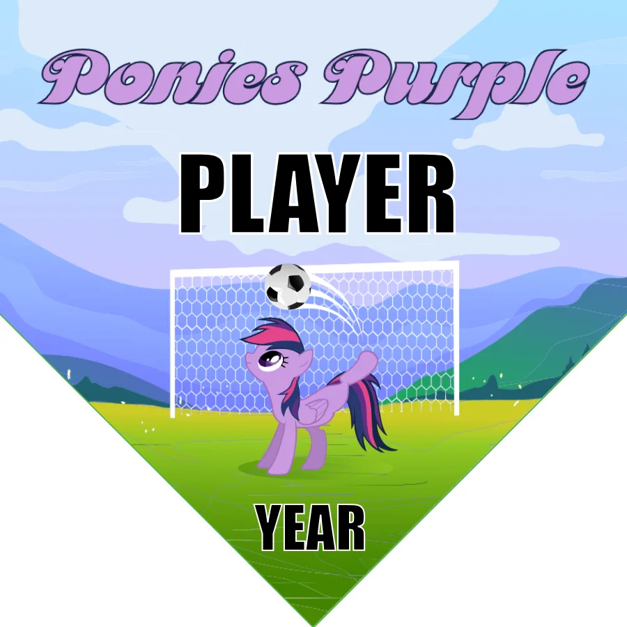 Ponies Purple Soccer Banner-soccer-ball-banner-picture
