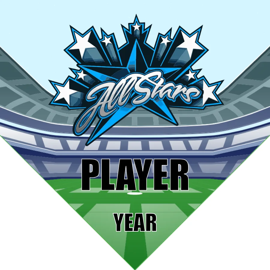 All Stars Soccer Banner -soccer-banner-picture