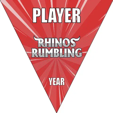 Rhinos Rumnling Soccer Banner-how-to-make-a-soccer-banner-stand-picture