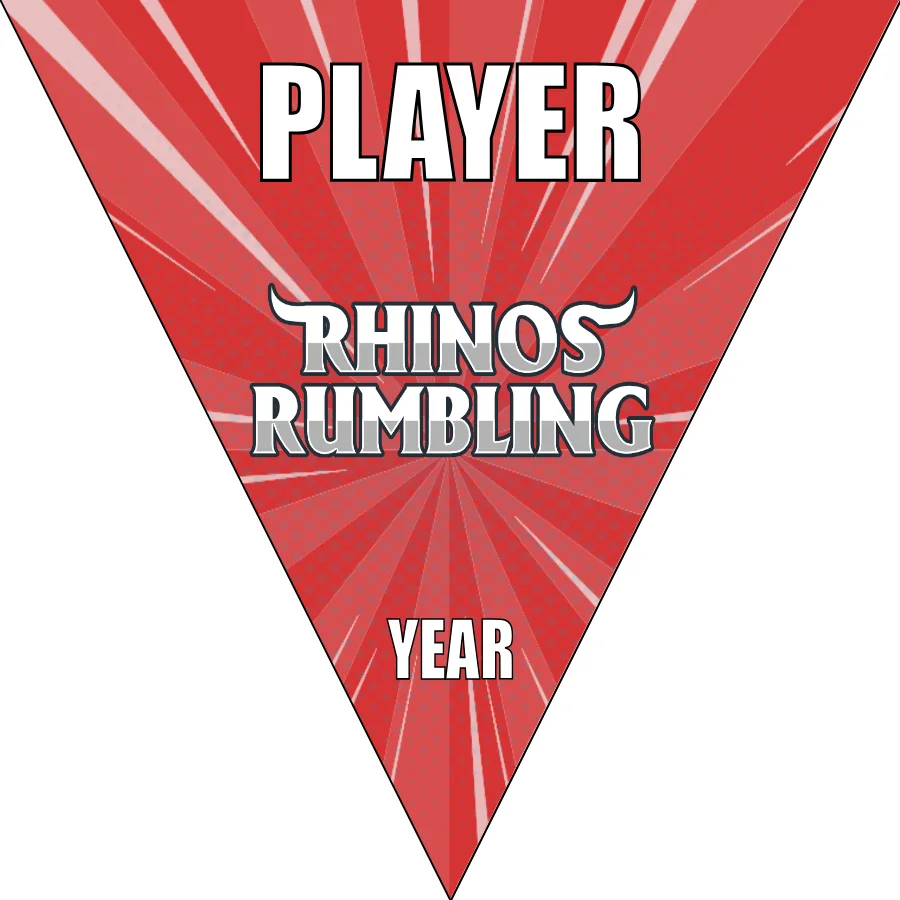 Rhinos Rumnling Soccer Banner-how-to-make-a-soccer-banner-stand-picture