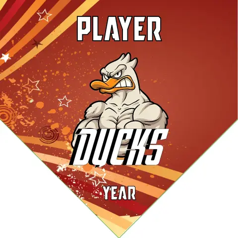 Duck 03 Soccer Banner-soccer-banner-websites-picture