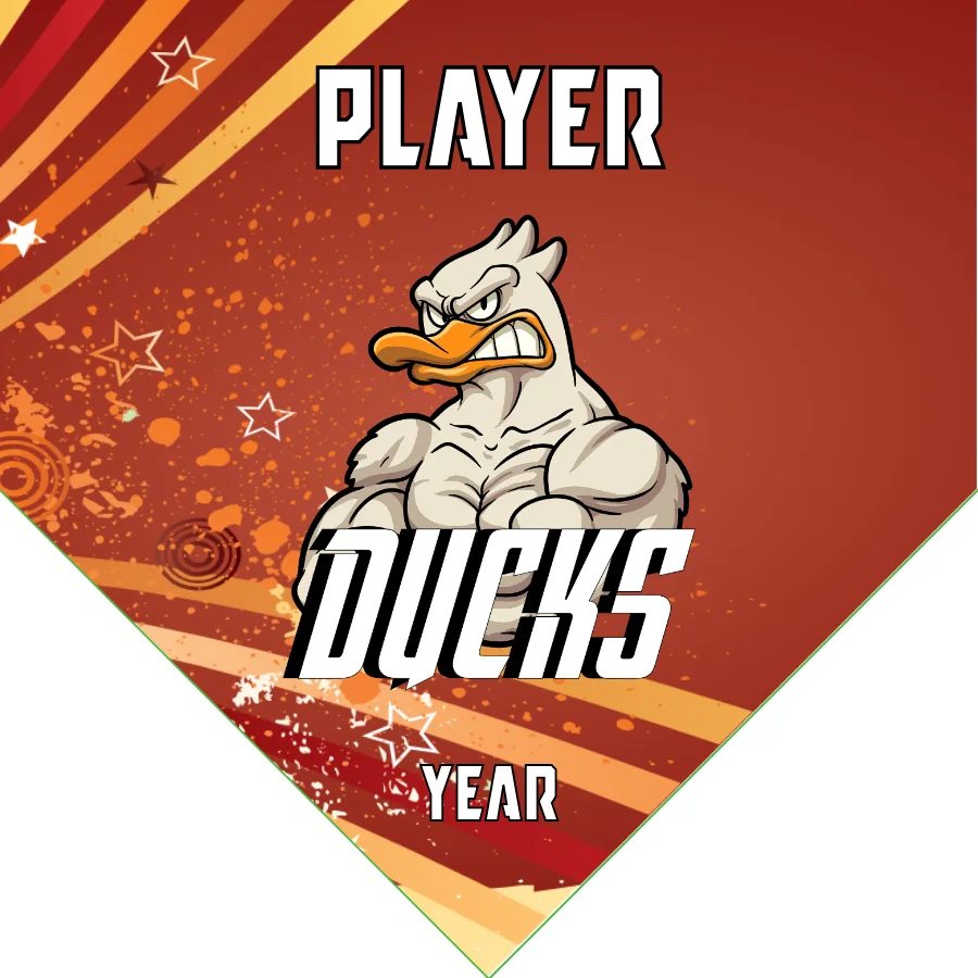 Duck 03 Soccer Banner-soccer-banner-websites-picture