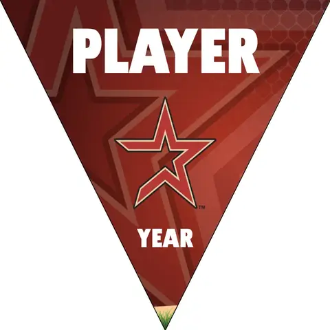 Astros4 Baseball Banner-baseball-banners-ideas-images