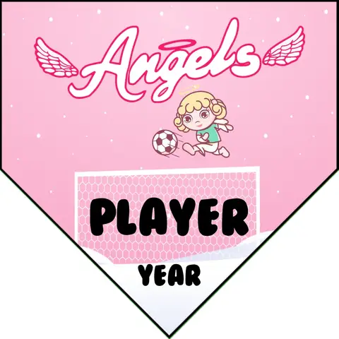 Angel 2 Soccer Banner-soccer-banners-ontario-ca-picture