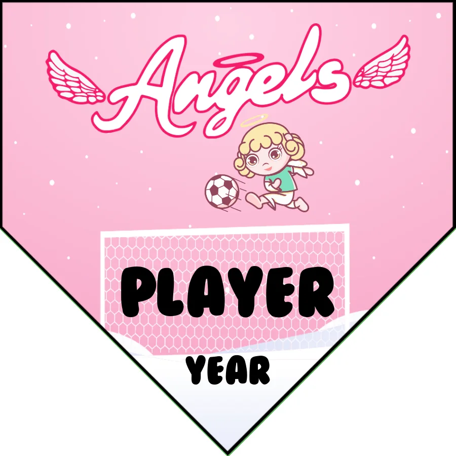 Angel 2 Soccer Banner-soccer-banners-ontario-ca-picture