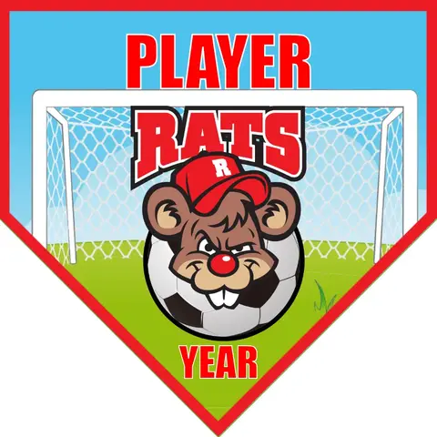 Rats Soccer Soccer Banner-soccer-banner-stand-pvc-picture