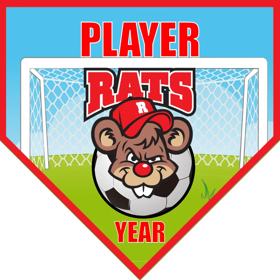 Rats Soccer Soccer Banner-soccer-banner-stand-pvc-picture
