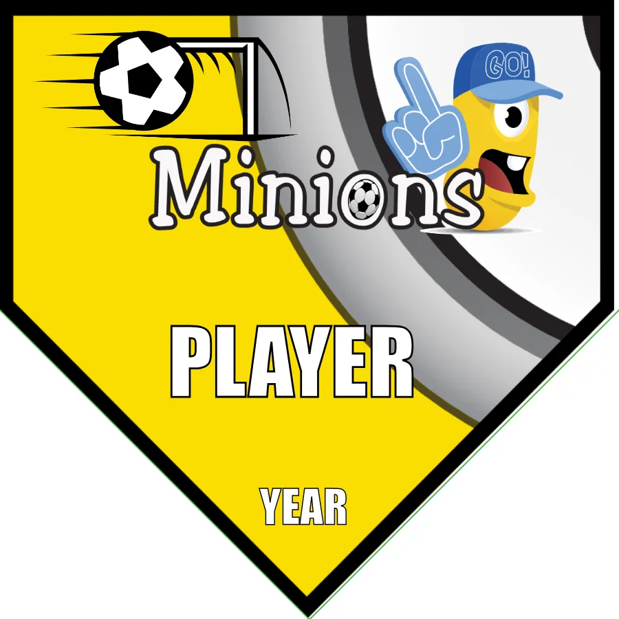 Minions Soccer Banner-soccer-team-banners-picture
