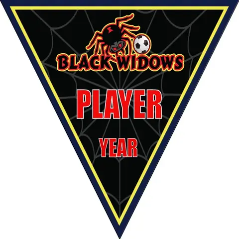 Black Widows 2 Soccer Banner-soccer-goal-banner-picture