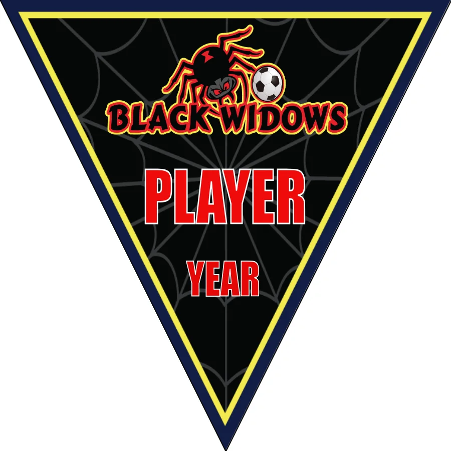 Black Widows 2 Soccer Banner-soccer-goal-banner-picture