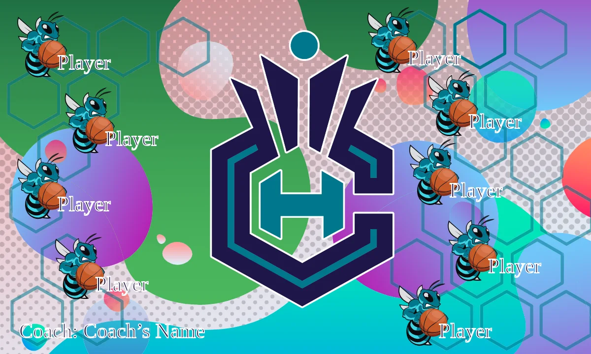 Charlotte Hornets 2 Basketball Banner