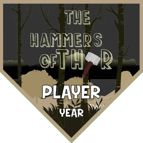 Hammers of Thor Soccer Banner-soccer-team-banner-stand-picture