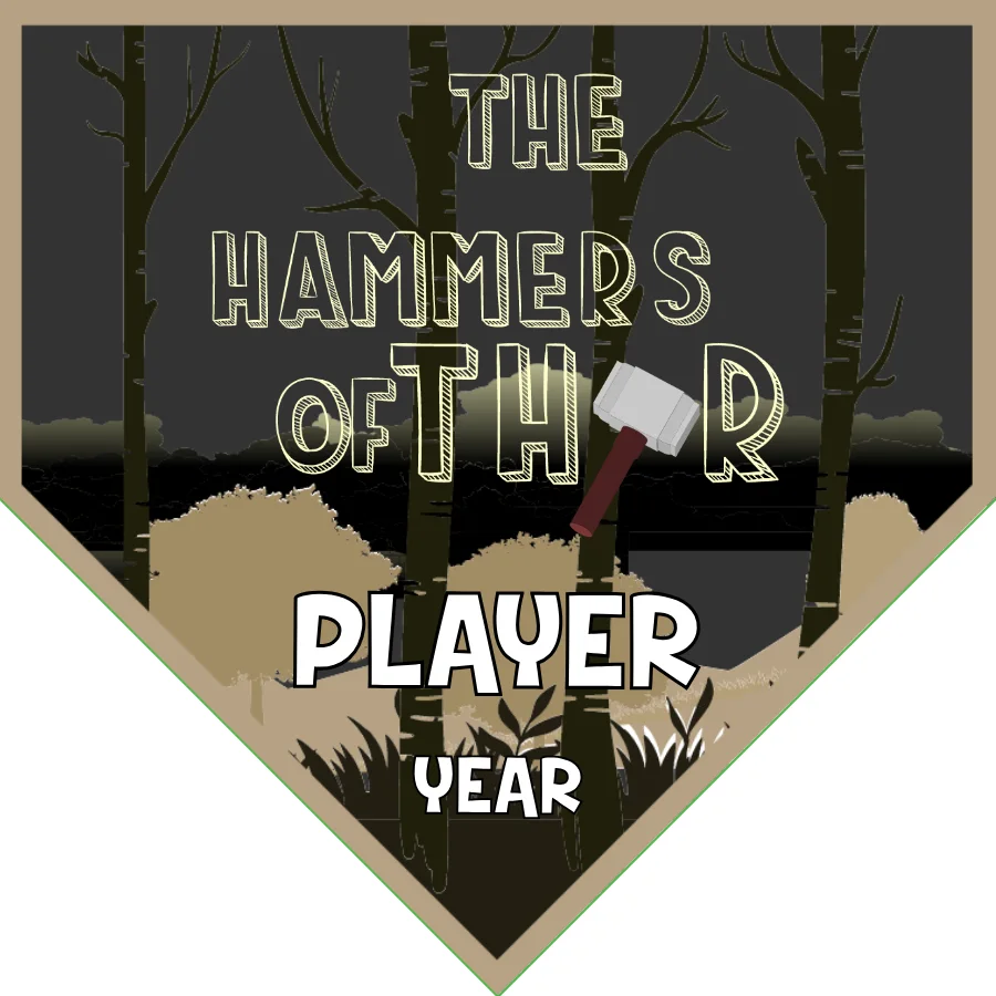 Hammers of Thor Soccer Banner-soccer-team-banner-stand-picture