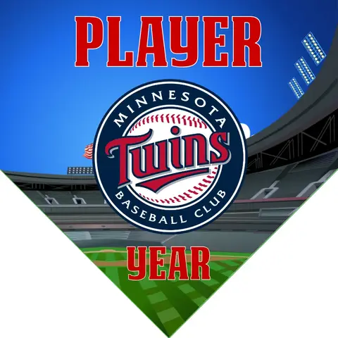 Minnesota Twins Baseball Banner-baseball-banner-gallery-images