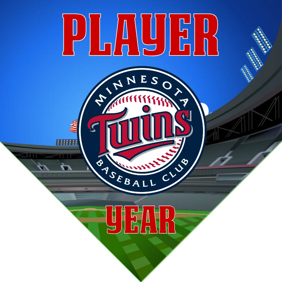 Minnesota Twins Baseball Banner-baseball-banner-gallery-images