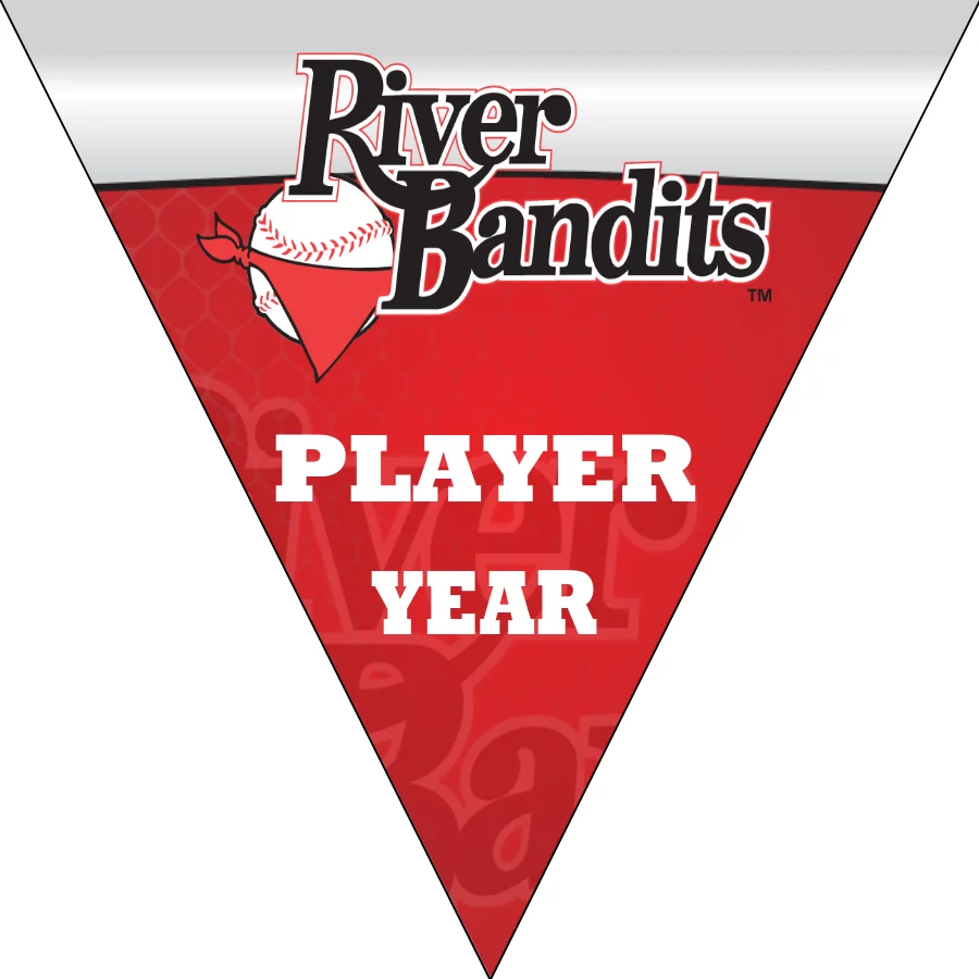Bandits1 Baseball Banner-homemade-baseball-banner-ideas-images