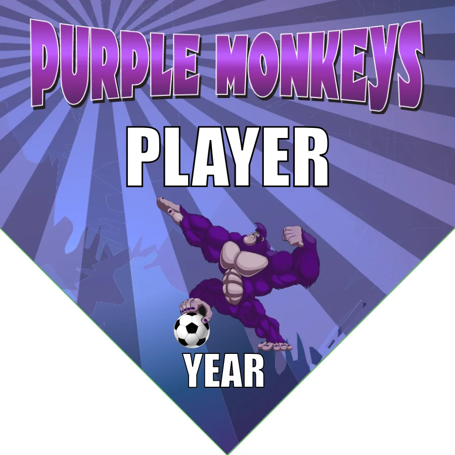 Purple monkeys Soccer Banner-soccer-party-banner-picture