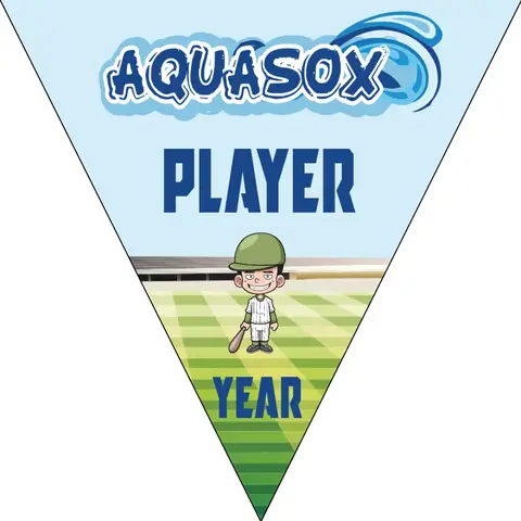 Aquasox Softball Banner-diy-softball-banners-picture