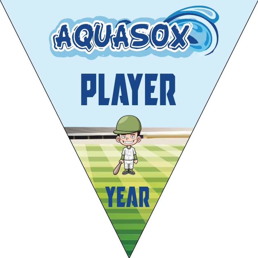 Aquasox Softball Banner-diy-softball-banners-picture