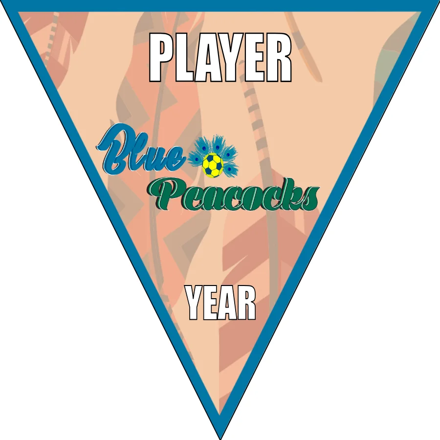 Peacocks Blue Soccer Banner-soccer-banners-sacramento-picture