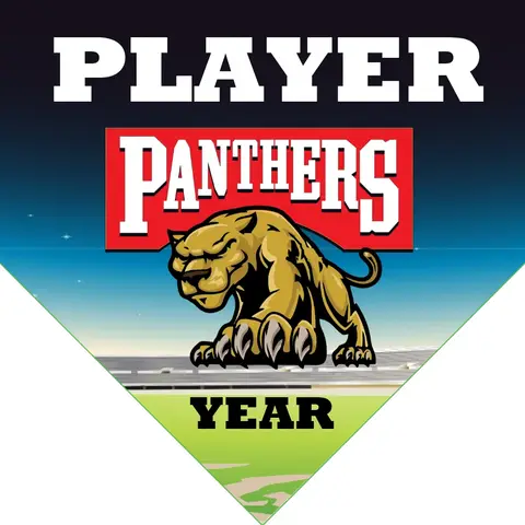 Panthers 2 Softball Banner-homemade-softball-banners-images
