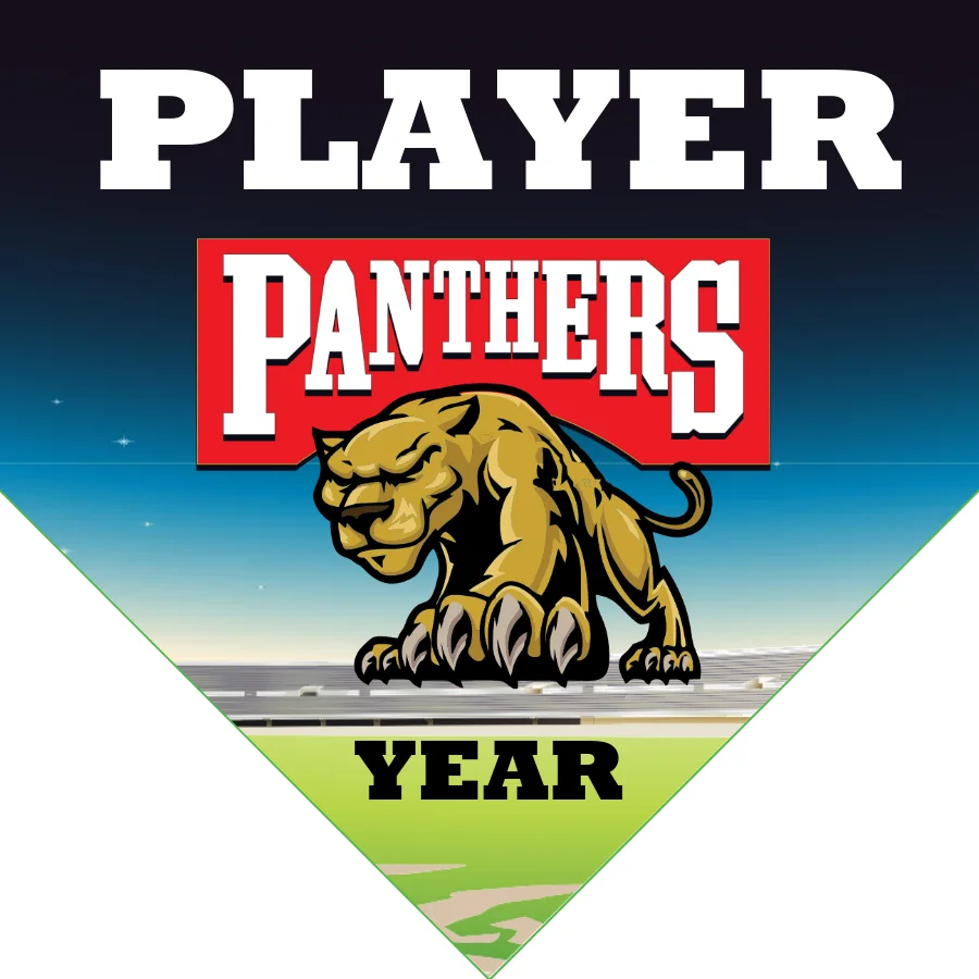 Panthers 2 Softball Banner-homemade-softball-banners-images