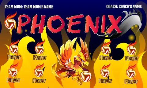 Phoenix 1 Soccer Banner-soccer-banners-ideas