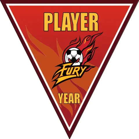 Fury 2 Soccer Banner-soccer-team-banners-picture