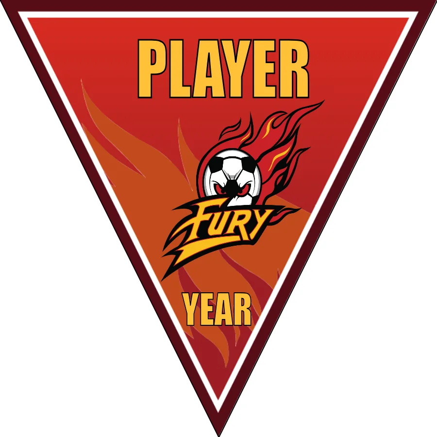 Fury 2 Soccer Banner-soccer-team-banners-picture