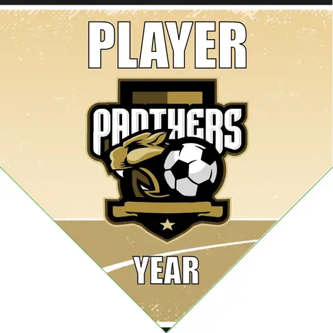 Panthers 3 Soccer Banner-soccer-banner-pole-kit-picture