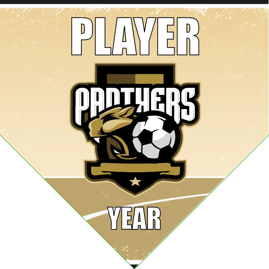 Panthers 3 Soccer Banner-soccer-banner-pole-kit-picture