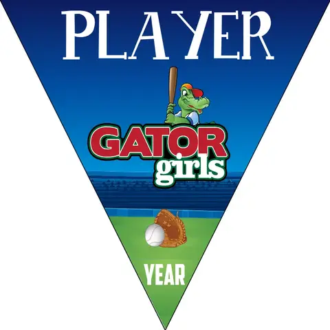 GatorGirls1 Softball Banner-diy-softball-banner-images
