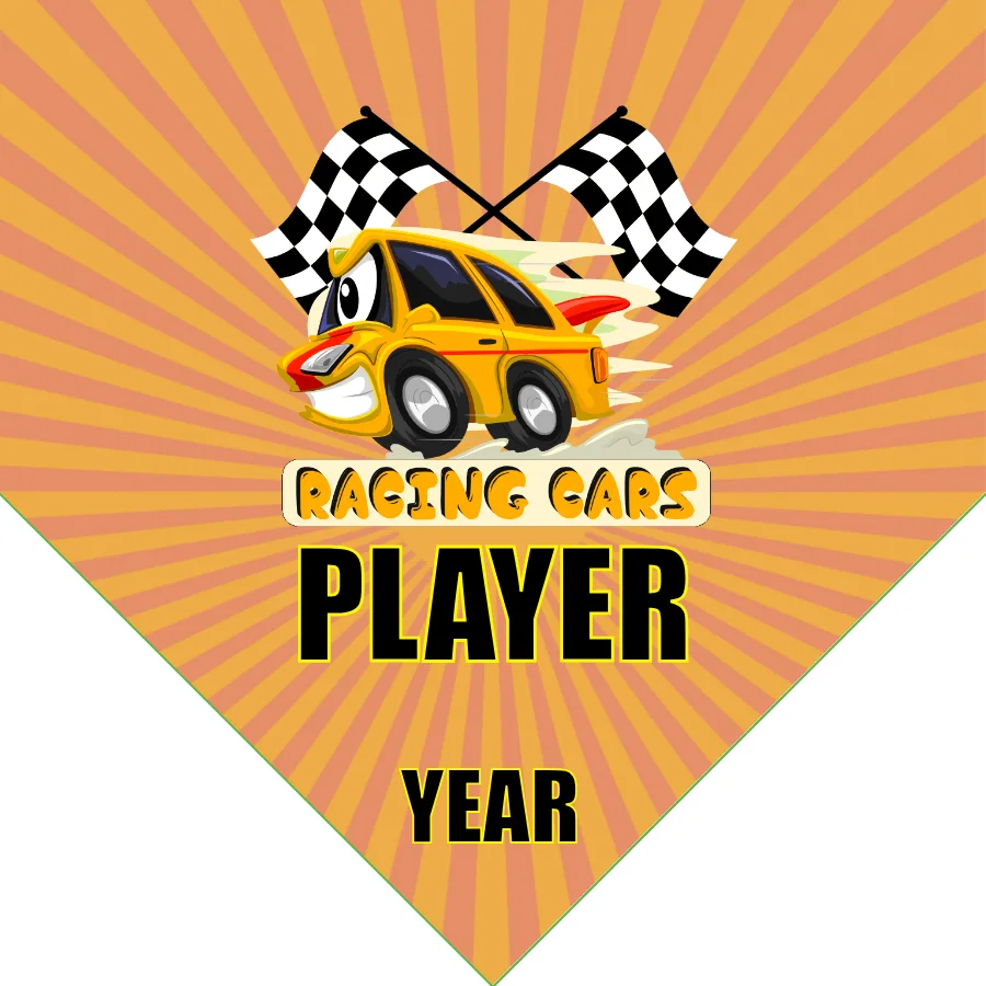 Racingcars Soccer Banner-soccer-team-banners-picture