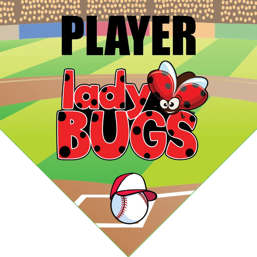 LADYbugs 2 Softball Banner-design-a-softball-banner-images