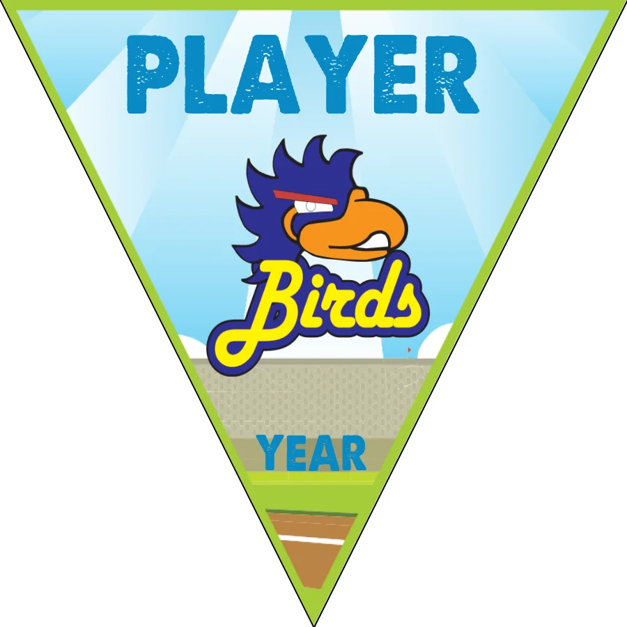 Bird 1 Softball Banner-handmade-softball-banners-picture